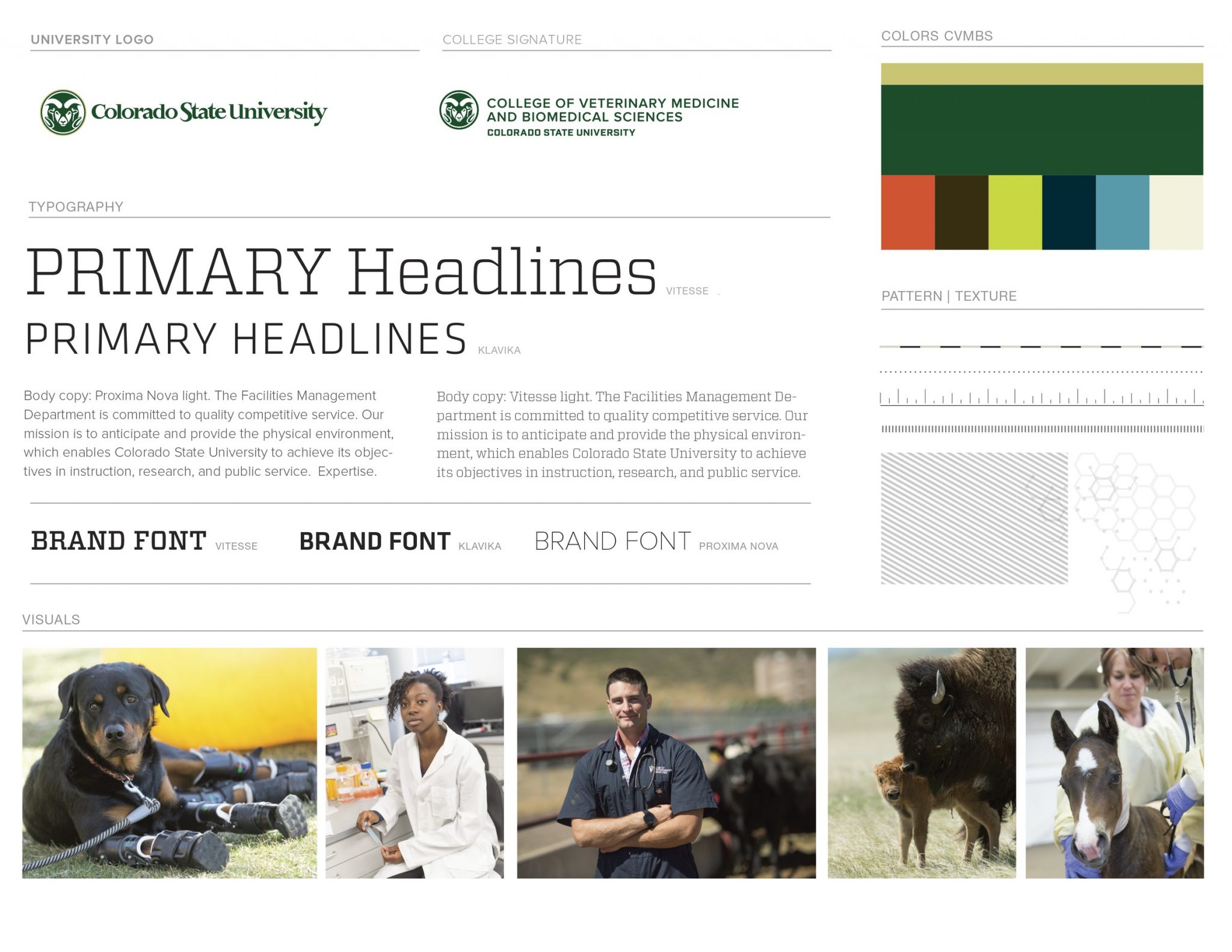Colorado State University College of Veterinary Medicine and Biomedical Sciences Brand Guidelines