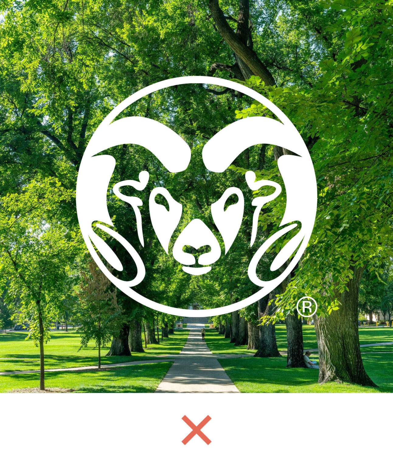 Symbol | Brand | Colorado State University